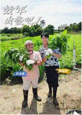 茶杯狐影视app官方下载综艺区黑胶现场海报